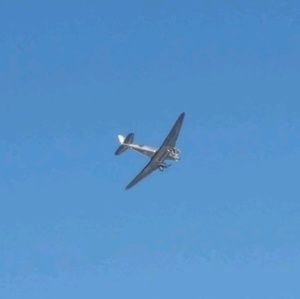 Meet your Posher, Timothy